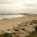 Mollymook Beach
